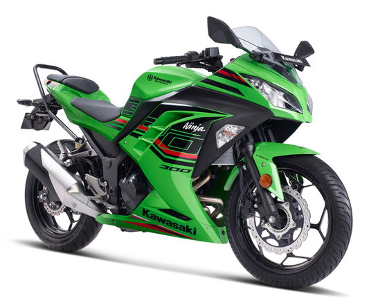 Ninja 300