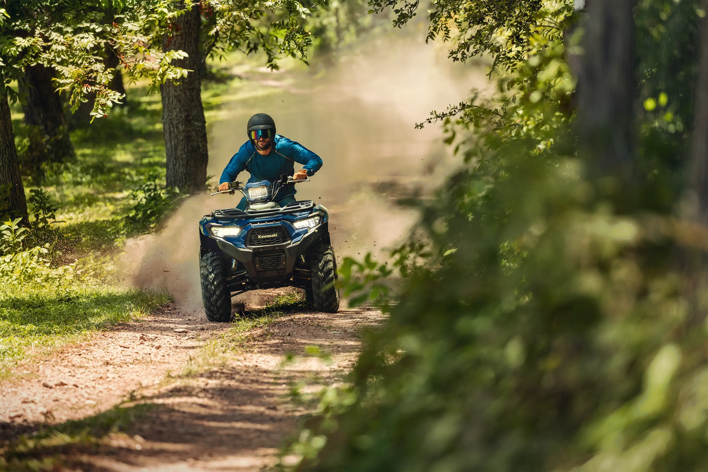 BRUTE FORCE® 450 4x4