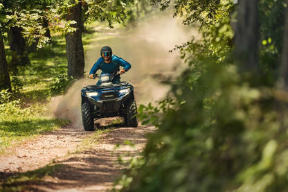 BRUTE FORCE® 450 4x4