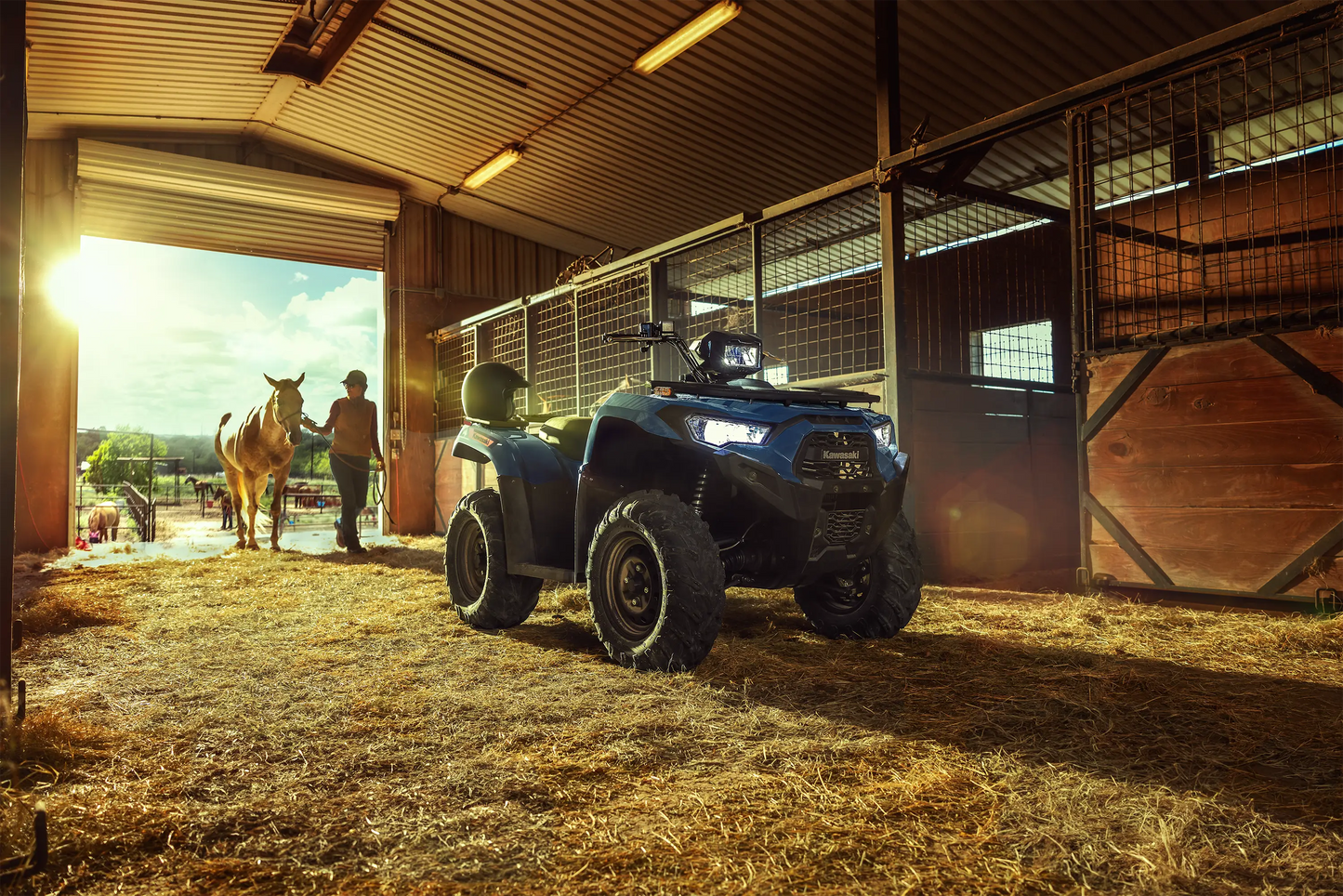 BRUTE FORCE® 450 4x4