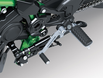 New 2025 Z900