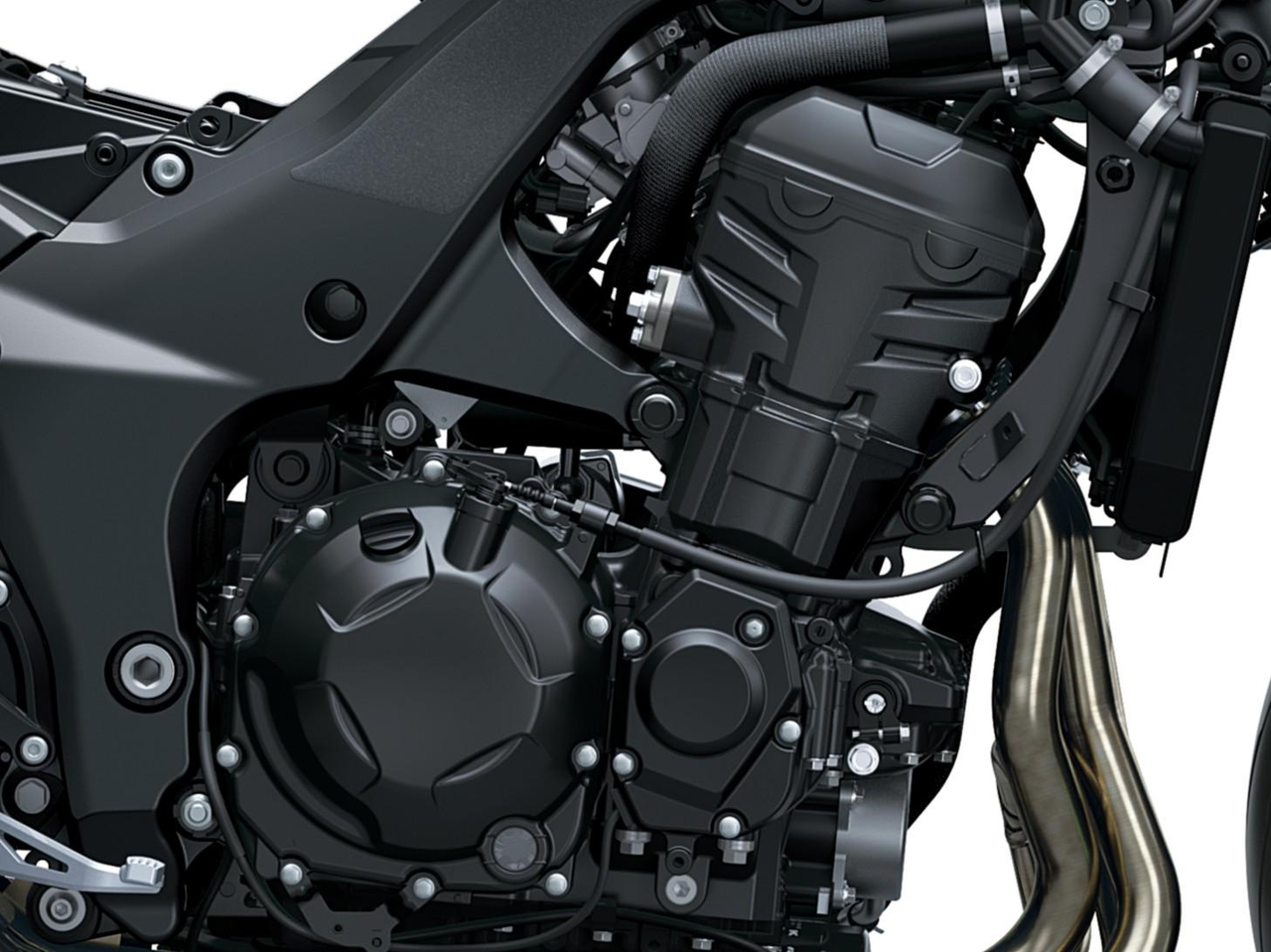 Z1100 (2026)
