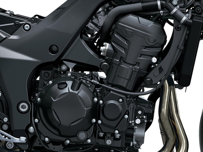 Z1100 (2026)