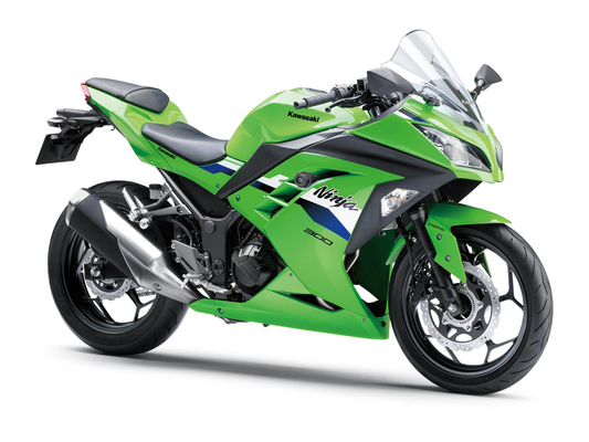 Ninja 300 (2026)