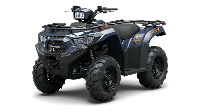BRUTE FORCE® 450 4x4